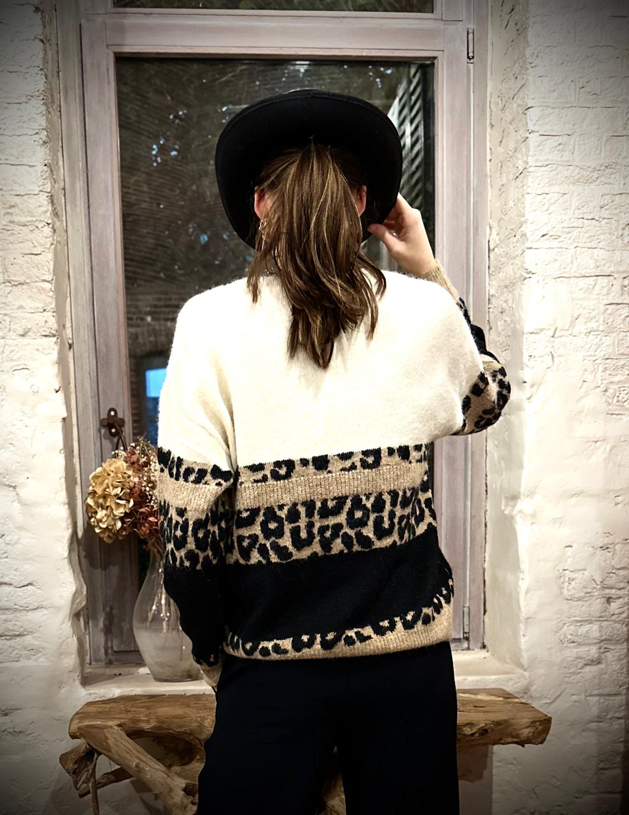 Pull Coco Léo