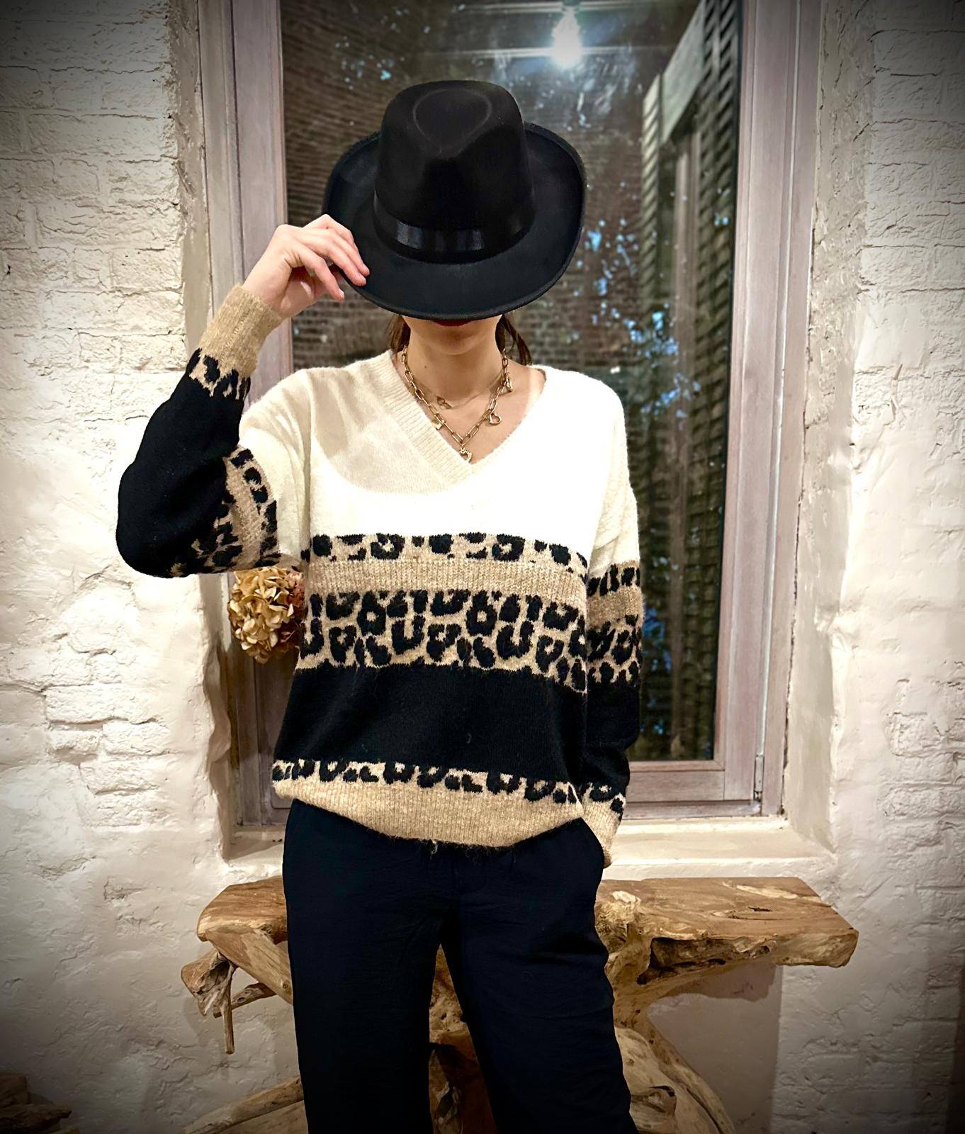 Pull Coco Léo